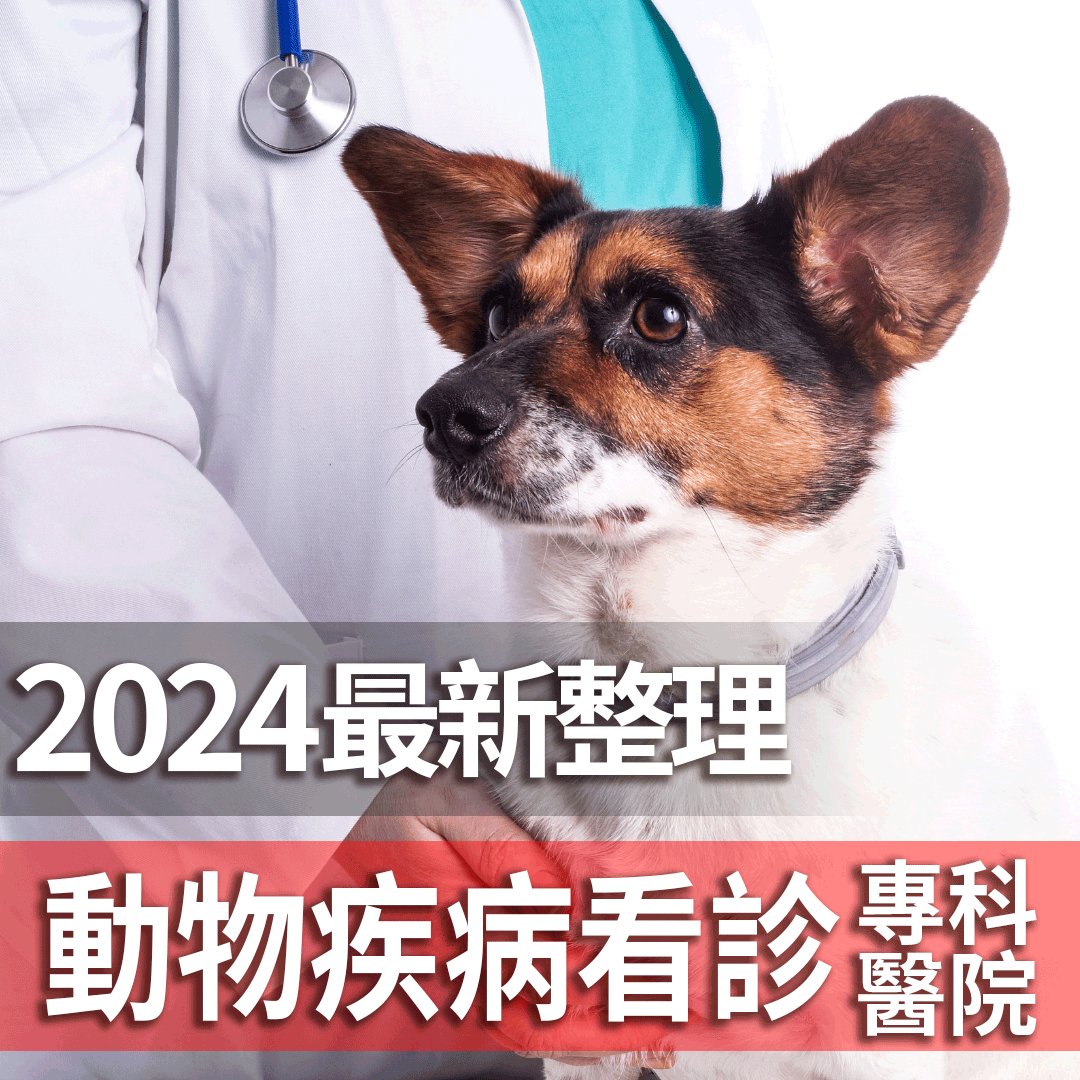 2024最新整理｜寵物貓狗專科動物醫院
