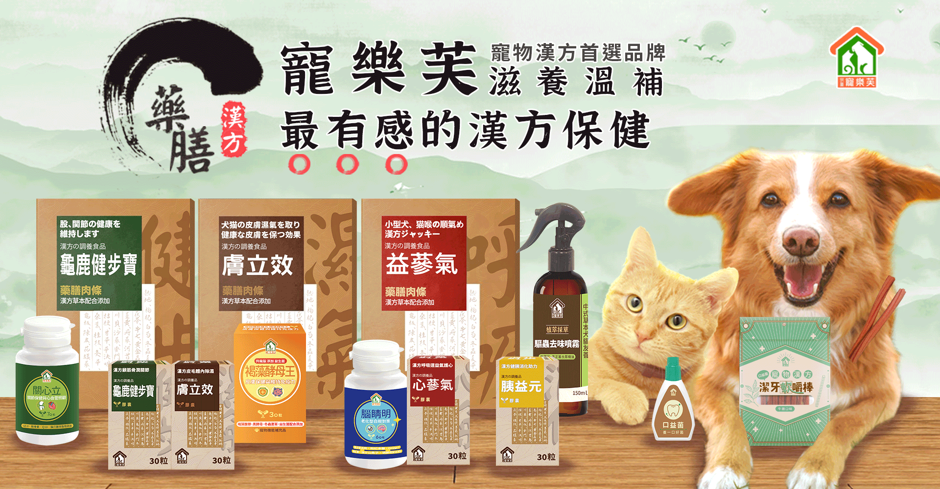 新全產品BN