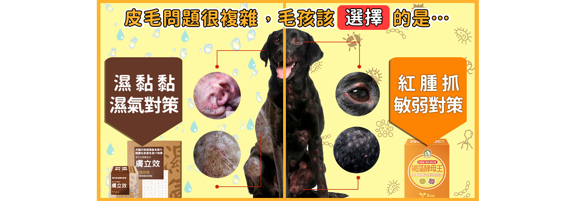  | 寵樂芙PetLove