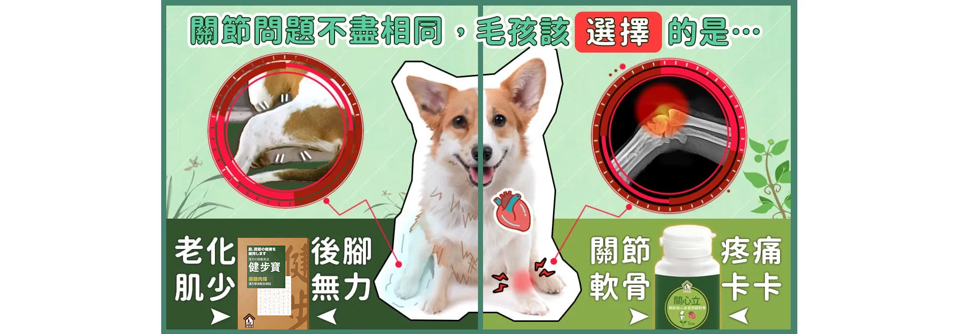  | 寵樂芙PetLove