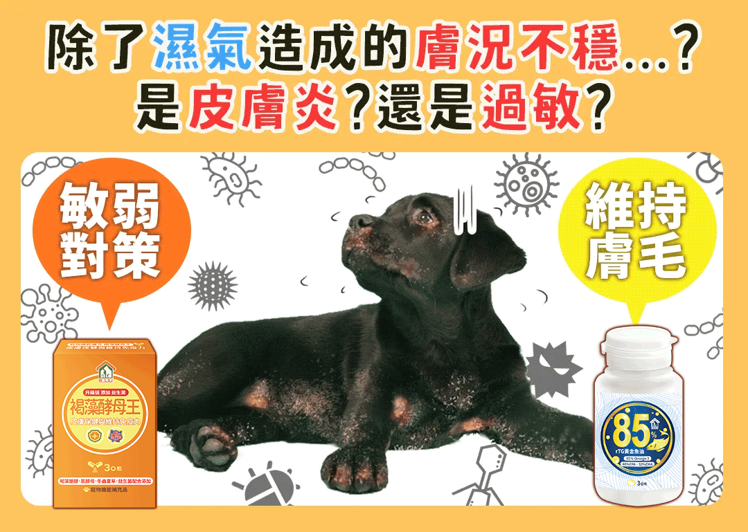 寵樂芙濕氣造成的膚況不穩 皮膚炎還是過敏 