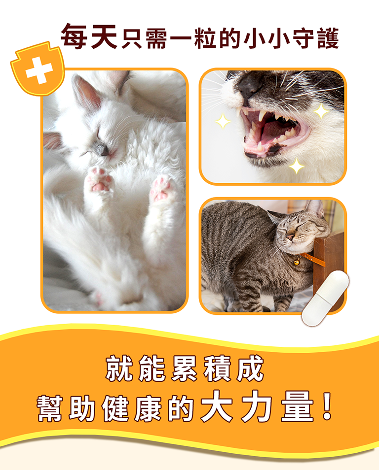 左離酸設計LP9