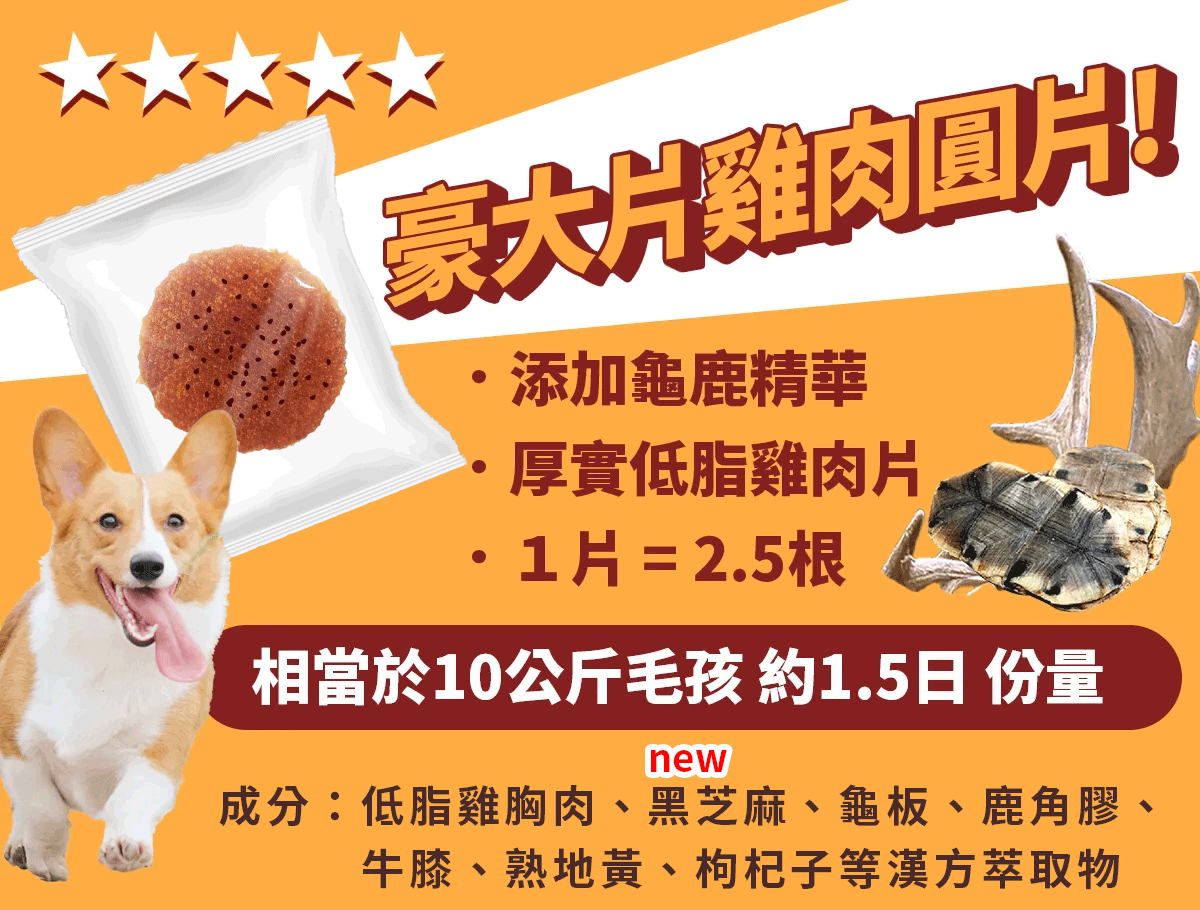 龜鹿圓片_LP