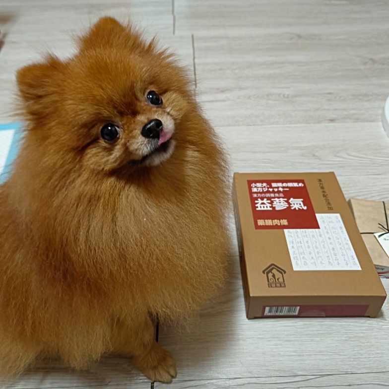 Q比_LVIP