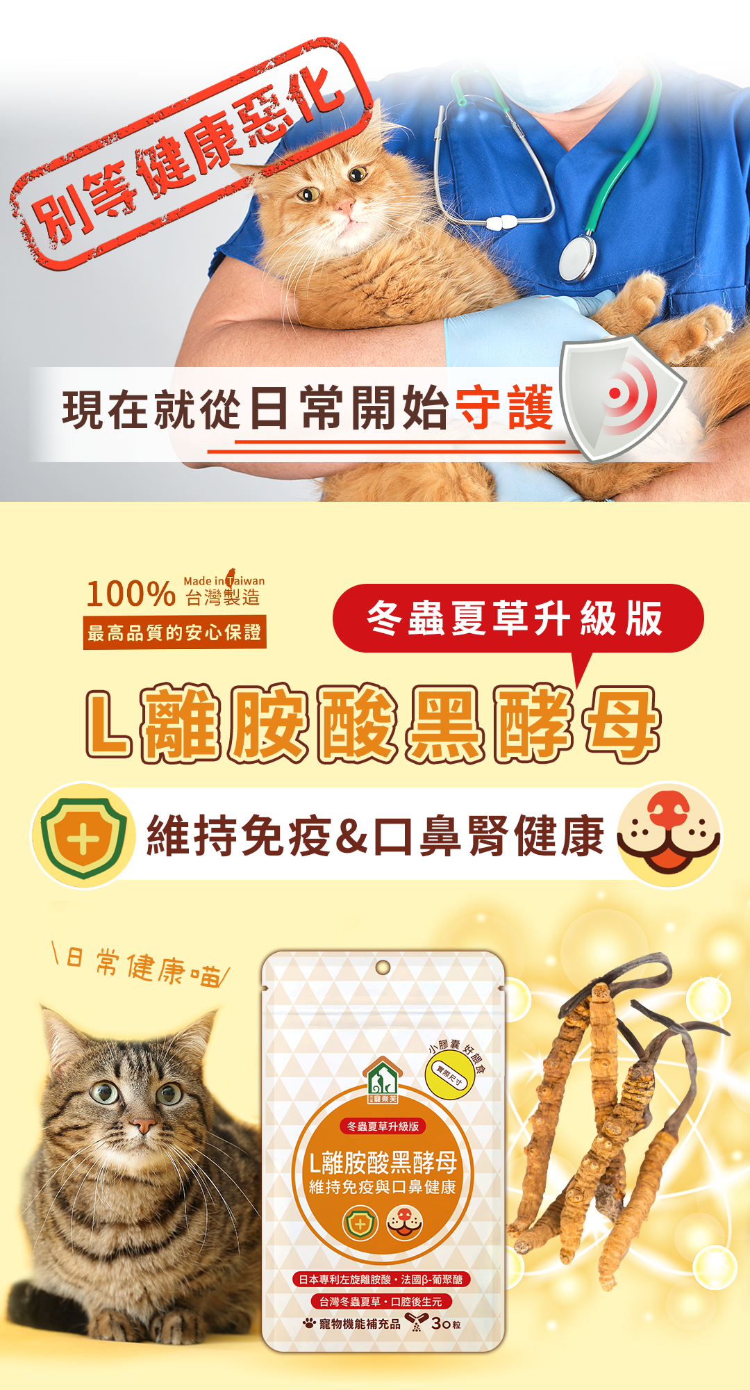 左離酸設計LP3