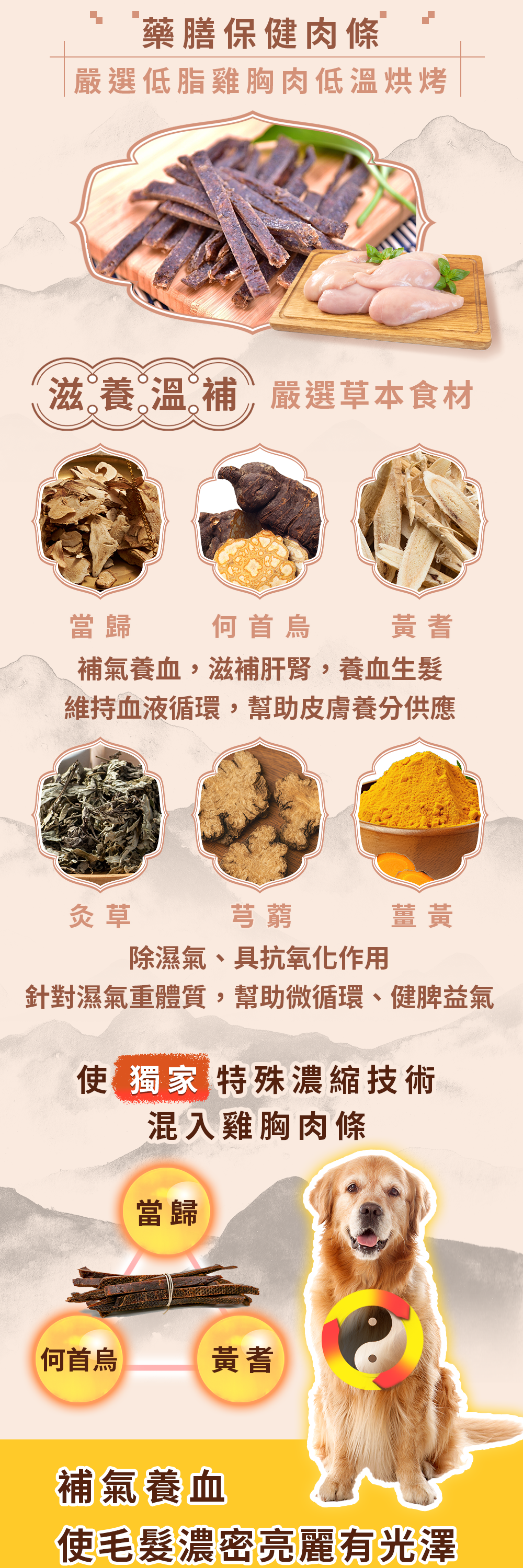 漢方寵物保健品貓狗體內除濕氣皮膚毛保健黴菌黑點紅點搔癢皮膚問題3_根本調理.jpg