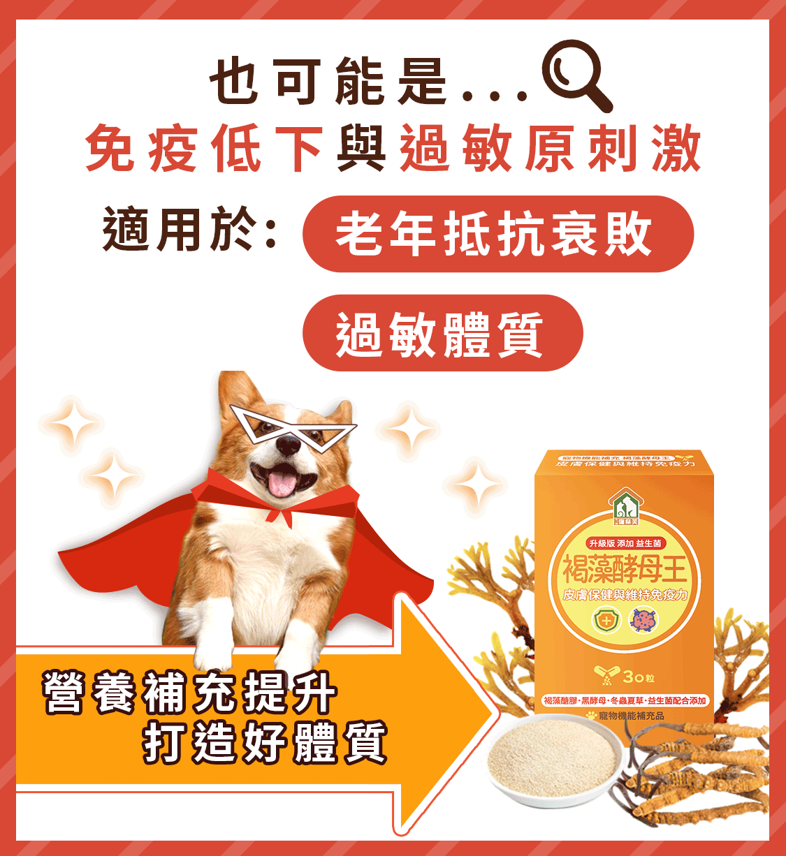 漢方寵物保健品貓狗體內除濕氣皮膚毛保健黴菌黑點紅點搔癢皮膚問題8_過敏體質.gif
