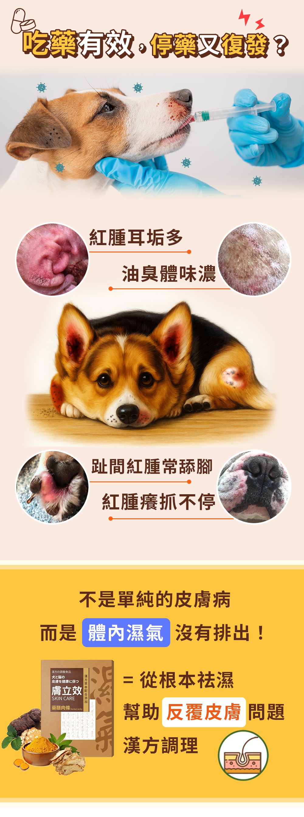 漢方寵物保健品貓狗體內除濕氣皮膚毛保健黴菌黑點紅點搔癢皮膚問題1.jpg