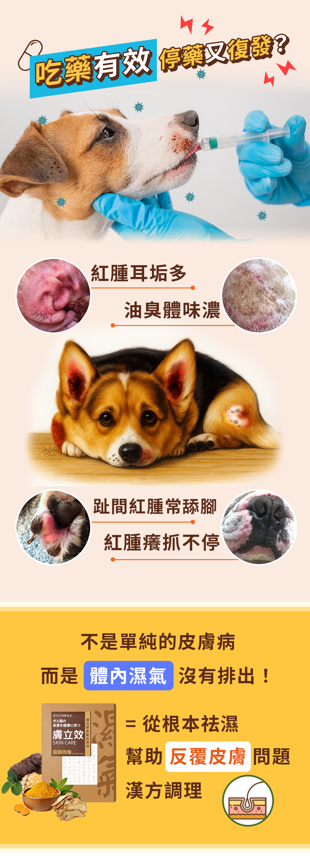 漢方寵物保健品貓狗體內除濕氣皮膚毛保健黴菌黑點紅點搔癢皮膚問題1.jpg