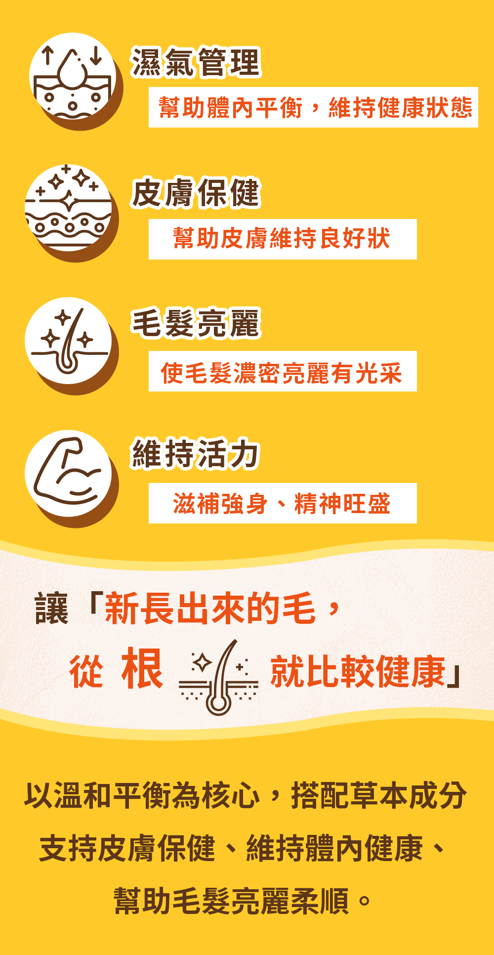 漢方寵物保健品貓狗體內除濕氣皮膚毛保健黴菌黑點紅點搔癢皮膚問題4_藥膳肉條.jpg 漢方寵物保健品貓狗體內除濕氣皮膚毛保健黴菌黑點紅點搔癢皮膚問題4_藥膳肉條.jpg