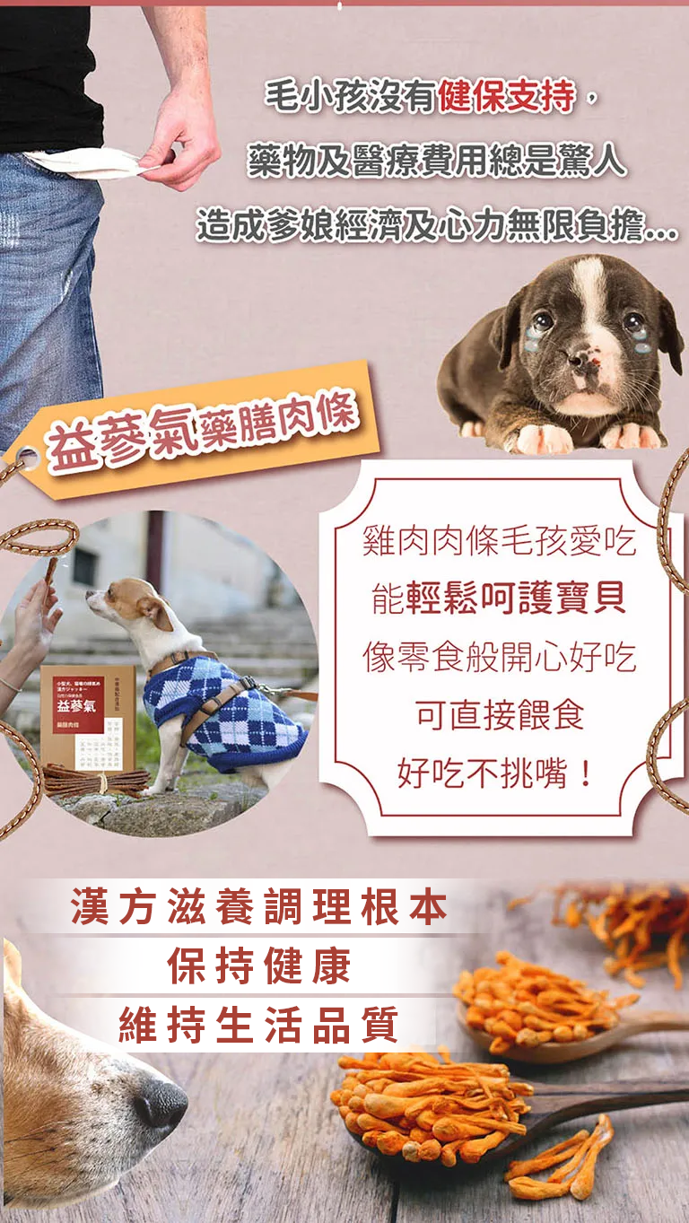漢方保健品寵物貓狗氣管保養氣管塌陷逆向噴嚏呼吸道照顧7_藥膳肉條.jpg