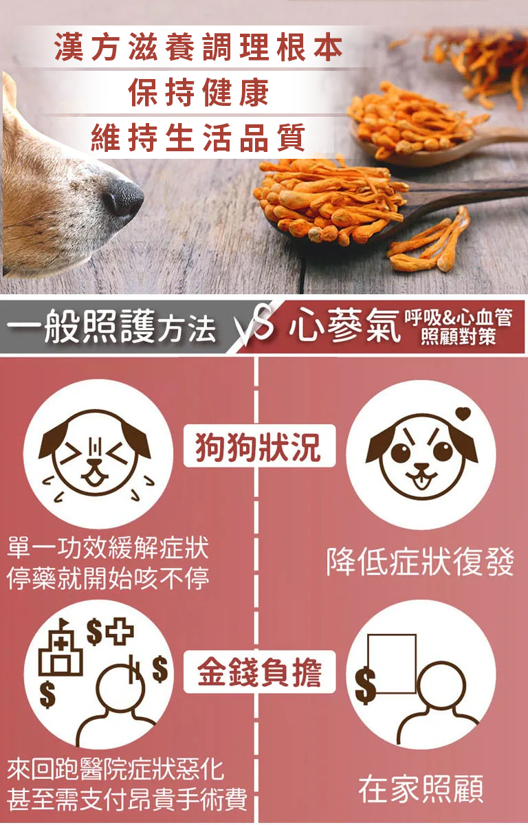 漢方保健品寵物貓狗氣管保養氣管塌陷逆向噴嚏呼吸道照顧_照顧好處