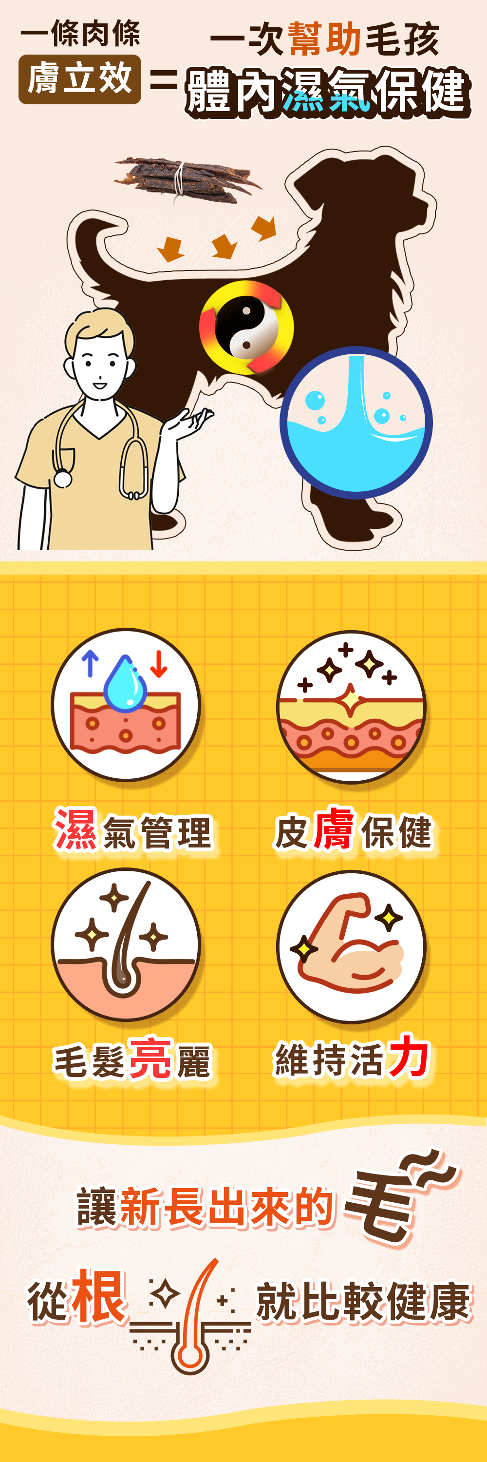 漢方寵物保健品貓狗體內除濕氣皮膚毛保健黴菌黑點紅點搔癢皮膚問題4_藥膳肉條.jpg