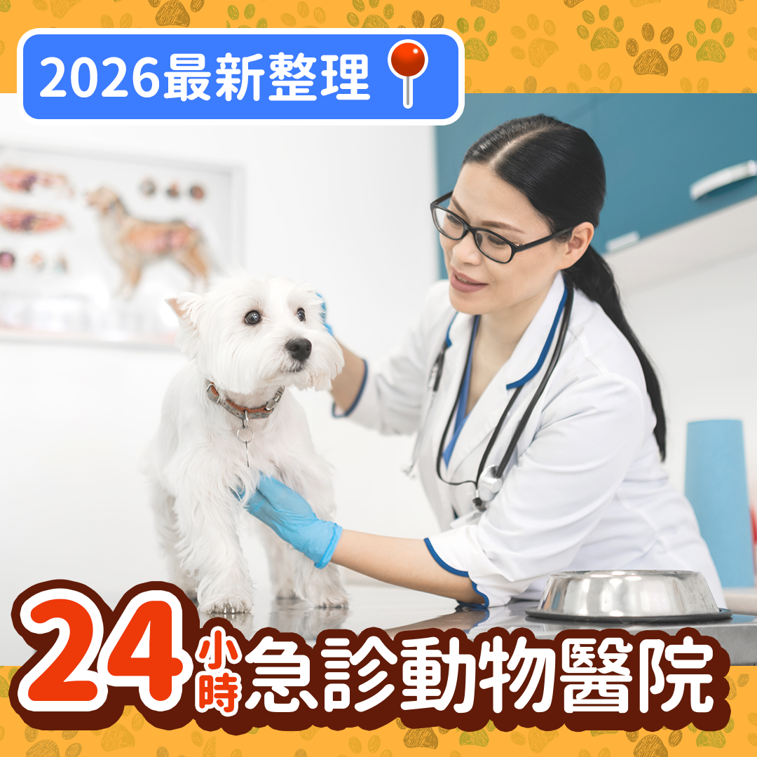 2026 更新｜24小時獸醫院整理
