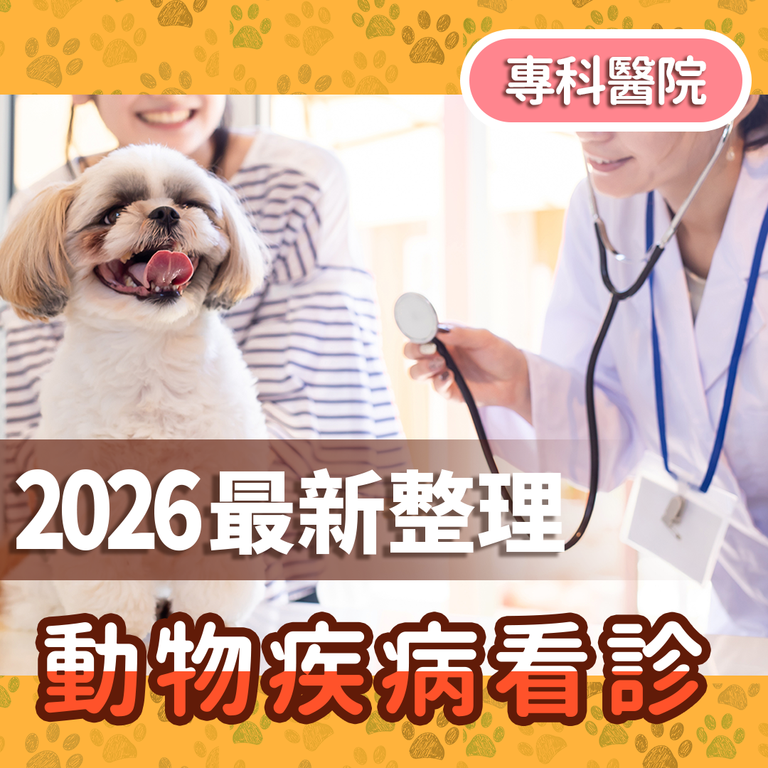 2026最新整理｜寵物貓狗專科動物醫院