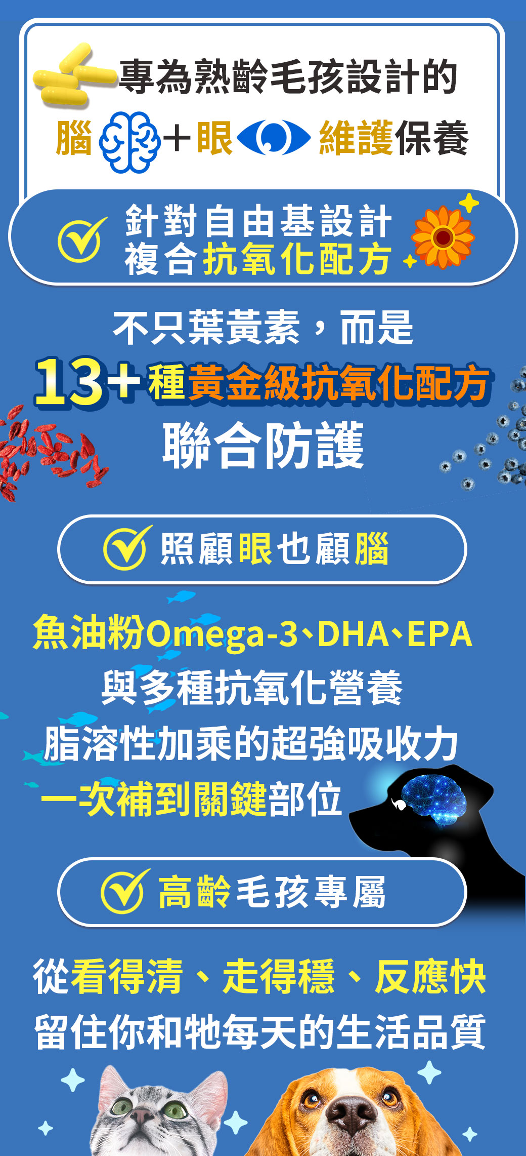 漢方寵物保健品老狗癡呆失智眼睛白白霧霧老化型白眼抗氧化對策1.png