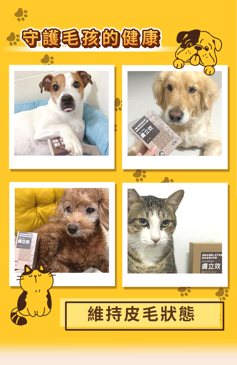 漢方寵物保健品貓狗體內除濕氣皮膚毛保健黴菌黑點紅點搔癢皮膚問題2_體內外除濕.jpg
