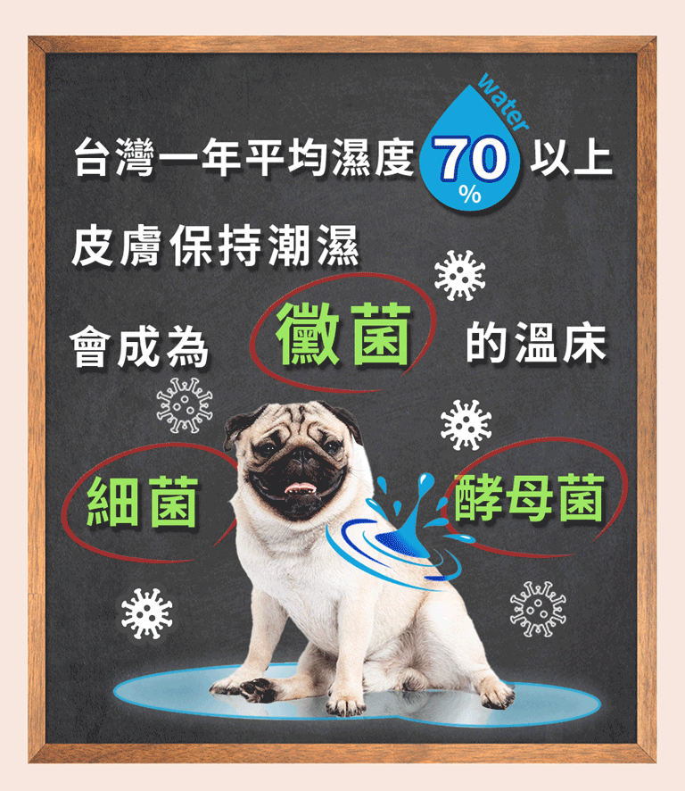 漢方寵物保健品貓狗體內除濕氣皮膚毛保健黴菌黑點紅點搔癢皮膚問題1.jpg