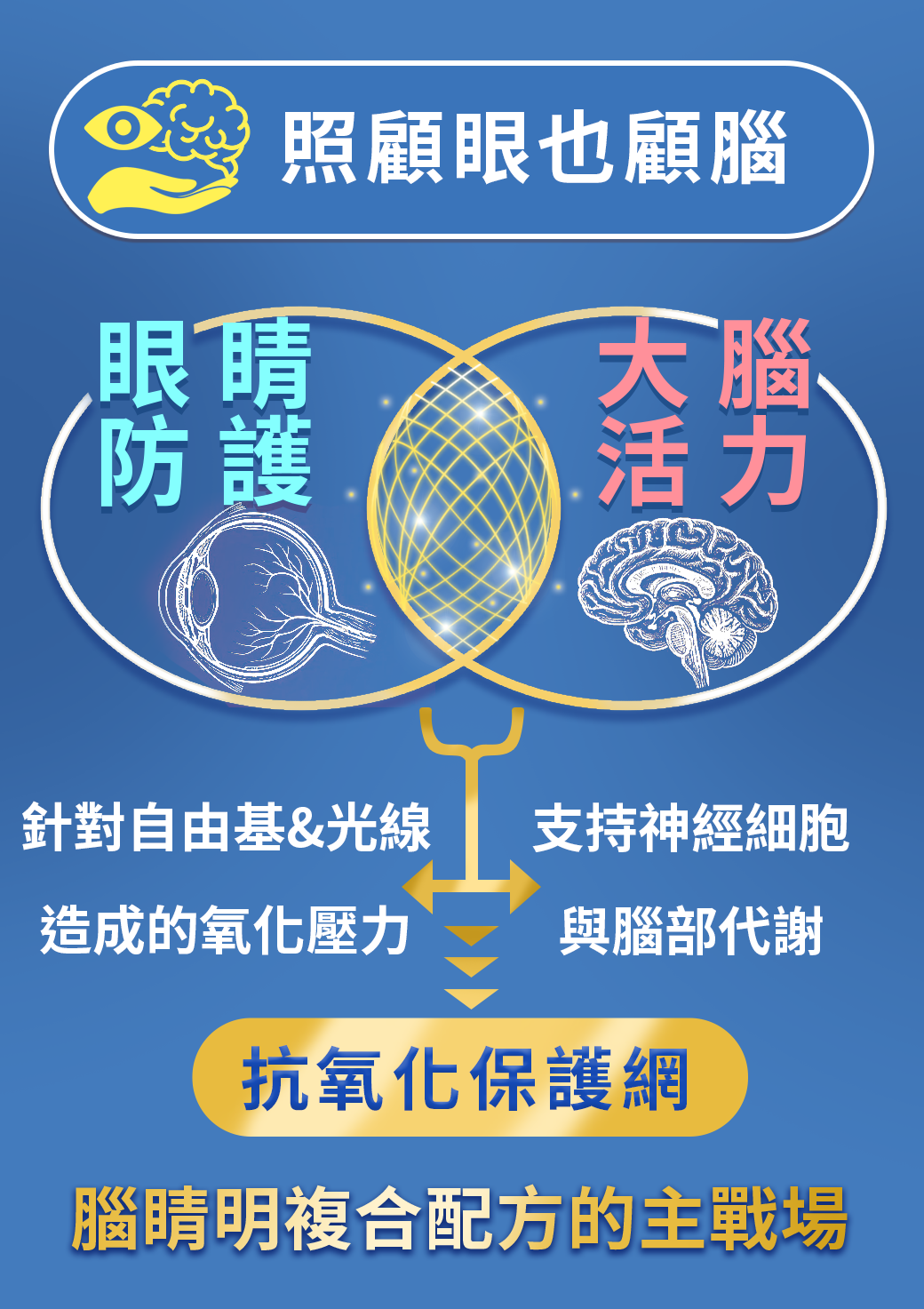 漢方寵物保健品老狗癡呆失智眼睛白白霧霧老化型白眼抗氧化對策10使用量.png
