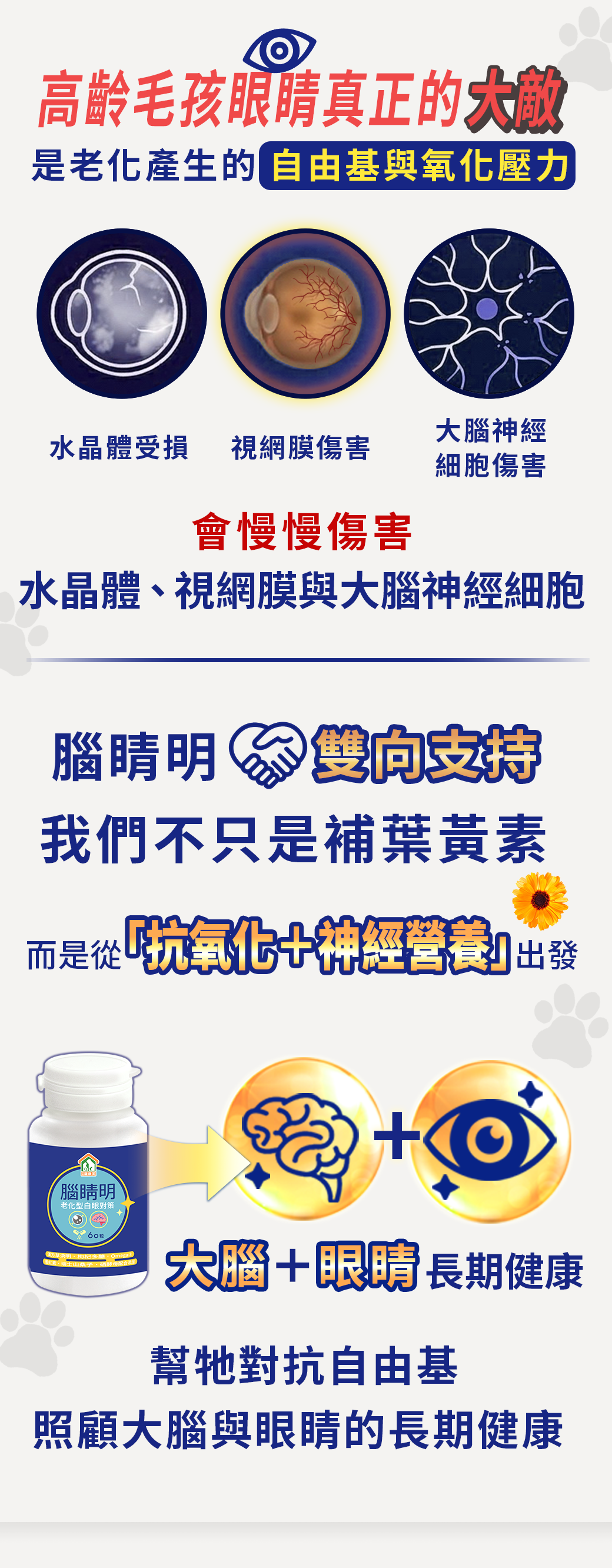 大腦眼睛照顧漢方寵物保健品老狗癡呆失智眼睛白白霧霧老化型白眼抗氧化對策11_使用量.png