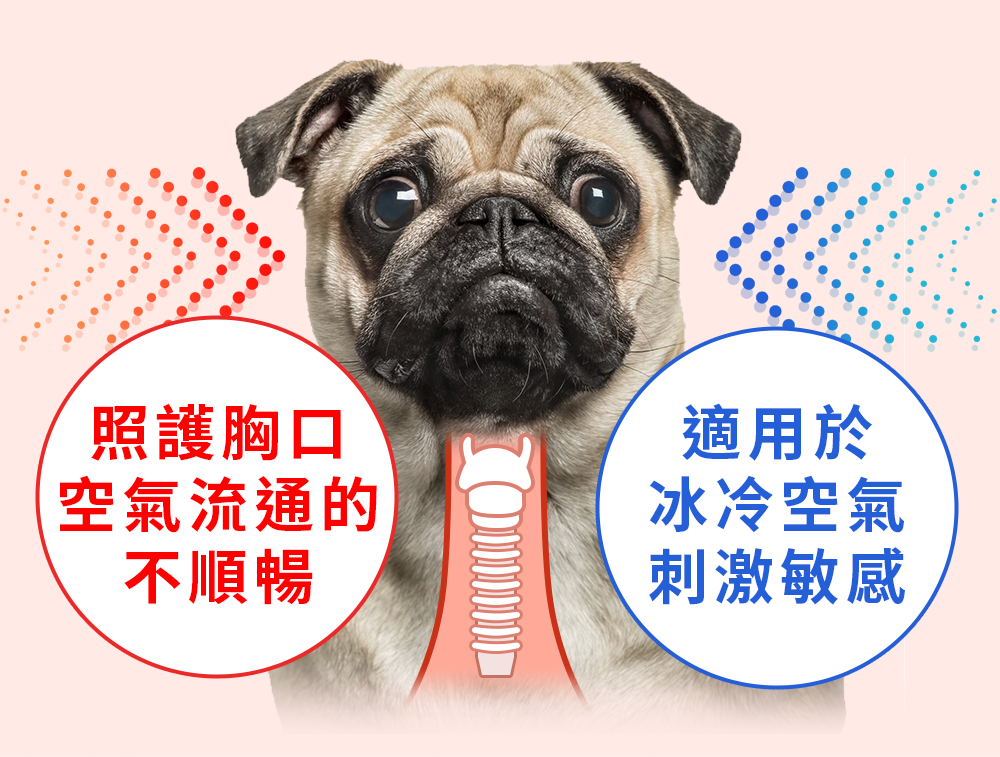 空氣流通不順暢