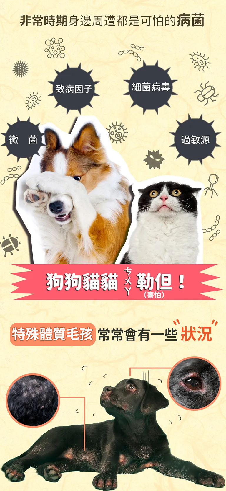 漢方寵物保健品褐藻黑酵母調節免疫力易敏體質異位性皮膚炎重大疾病及腫瘤照顧營養品01_紅腫脫皮抓抓.png