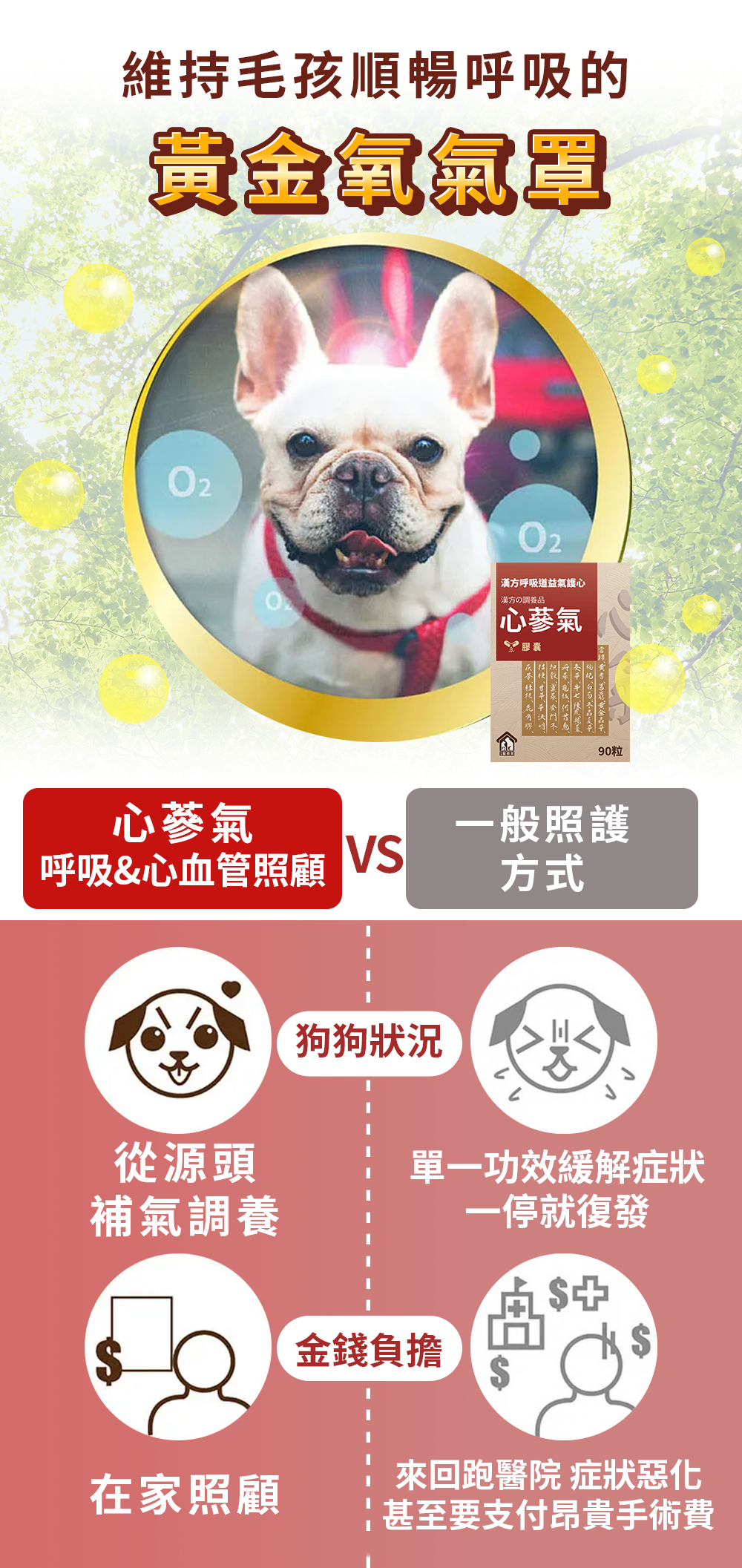 漢方保健品寵物貓狗氣管保養氣管塌陷逆向噴嚏呼吸道照顧_無健保照顧