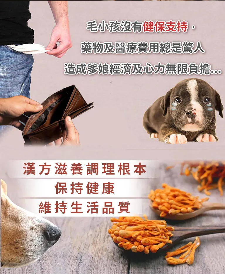 漢方保健品寵物貓狗氣管保養氣管塌陷逆向噴嚏呼吸道照顧_照顧好處