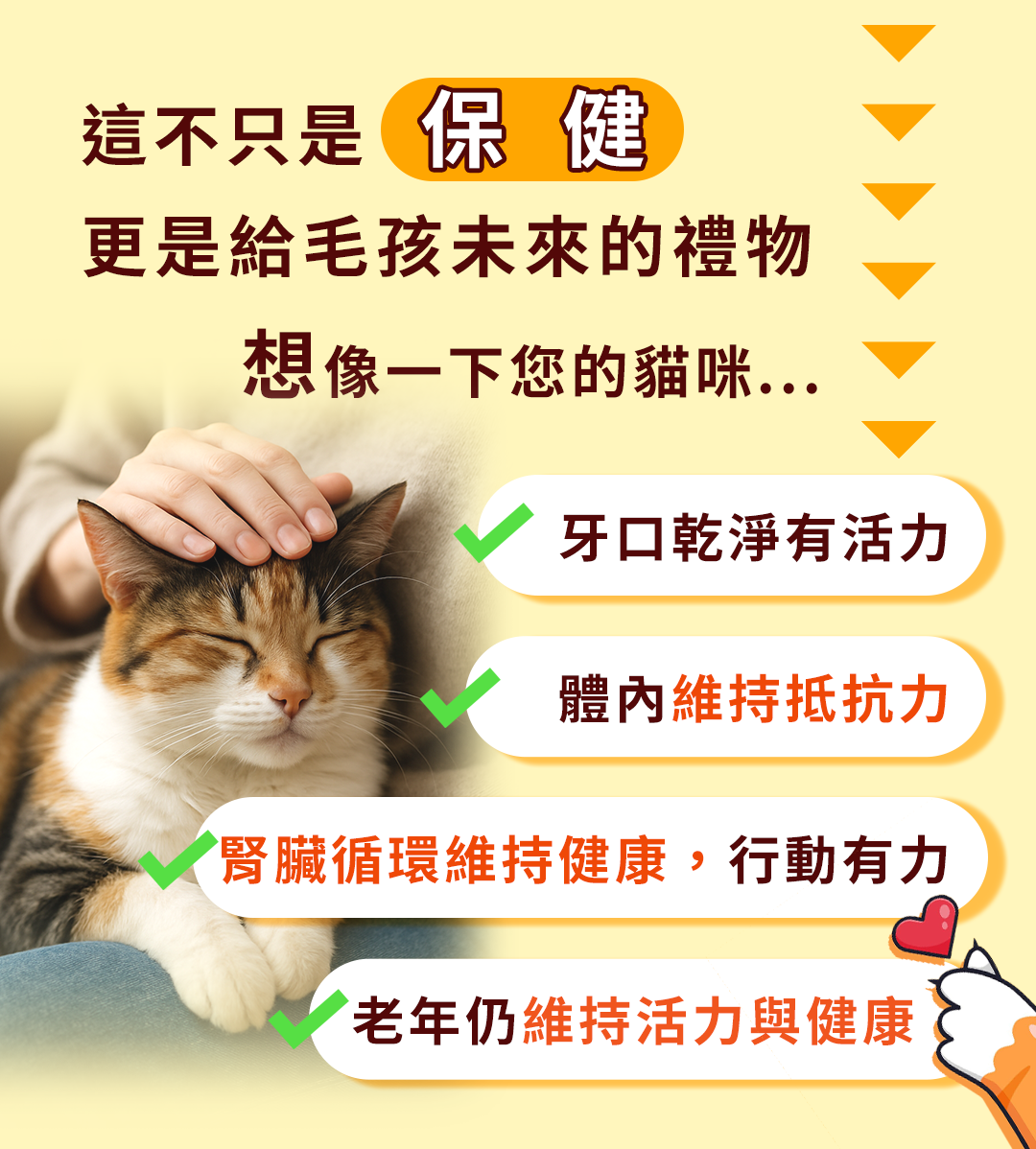 左離酸設計LP3-1