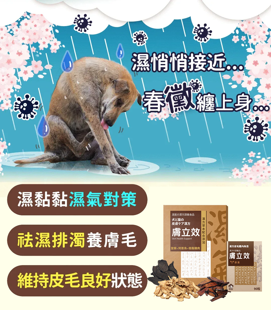 漢方除濕_毛孩體內除濕機皮毛照顧調理保健品
