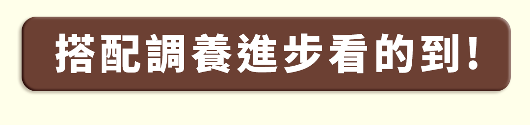 漢方除濕_毛孩體內除濕機皮毛照顧調理保健品02