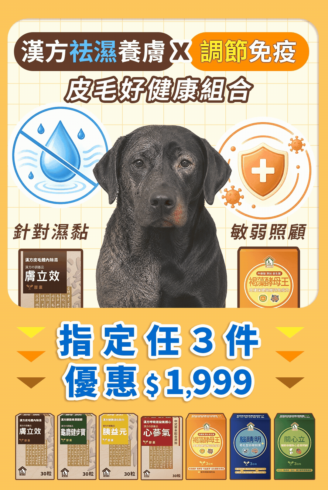 漢方除濕_毛孩體內除濕機皮毛照顧調理保健品03