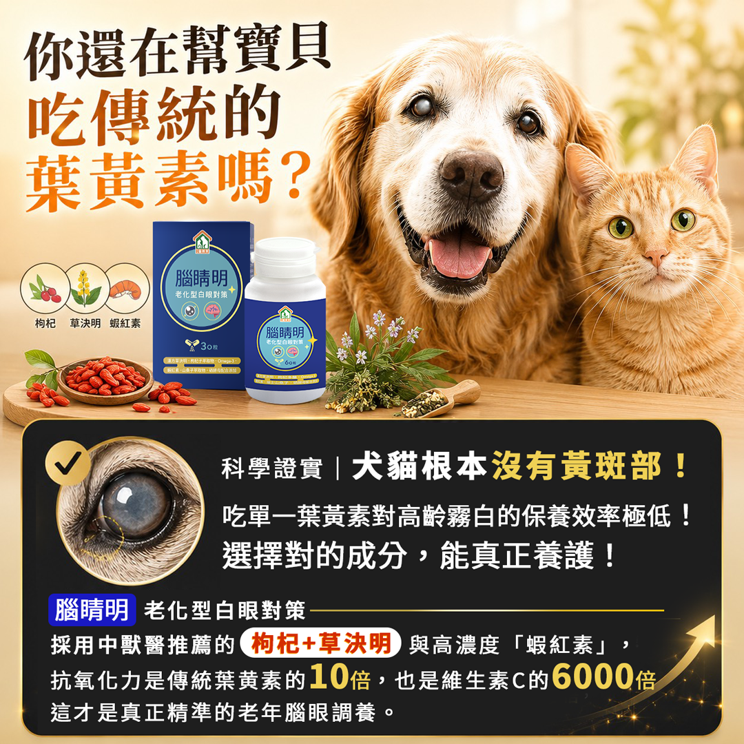 漢方寵物保健品老狗癡呆失智眼睛白白霧霧老化型白眼抗氧化對策5_草決明枸杞山桑子魚油.jpg 漢方寵物保健品老狗癡呆失智眼睛白白霧霧老化型白眼抗氧化對策5_草決明枸杞山桑子魚油.jpg
