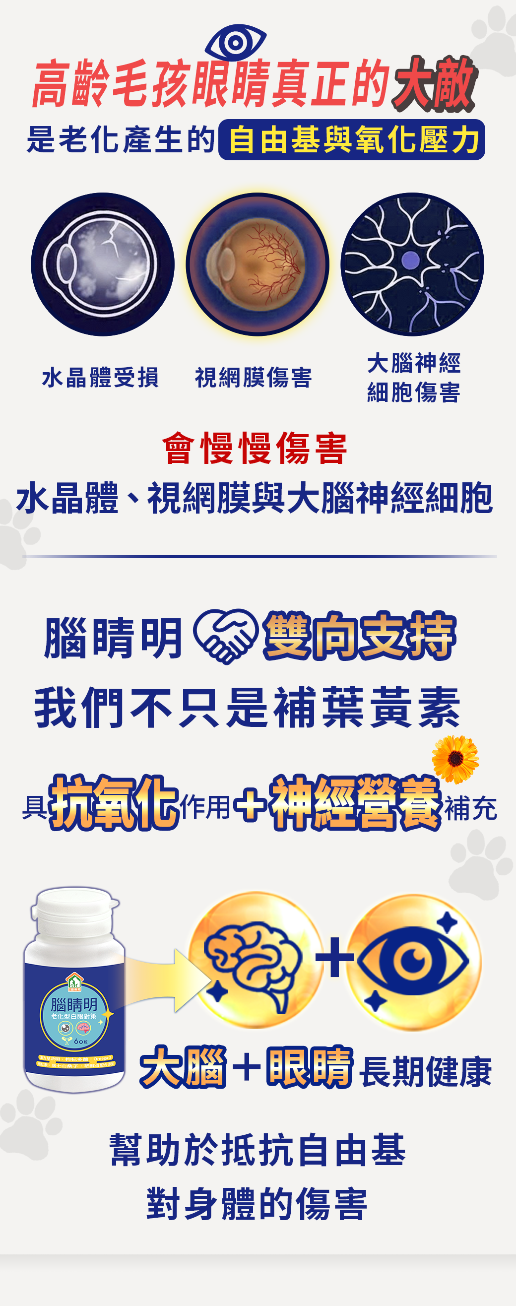 大腦眼睛照顧漢方寵物保健品老狗癡呆失智眼睛白白霧霧老化型白眼抗氧化對策11_使用量 大腦眼睛照顧漢方寵物保健品老狗癡呆失智眼睛白白霧霧老化型白眼抗氧化對策11_使用量.png