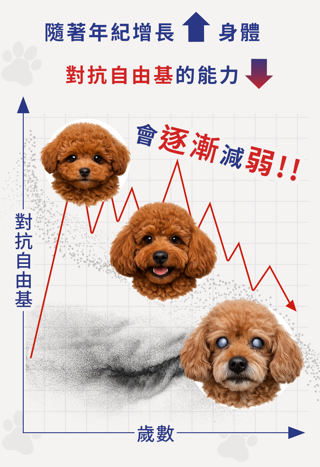漢方寵物保健品老狗癡呆失智眼睛白白霧霧老化型白眼抗氧化對策5_草決明枸杞山桑子魚油.jpg 漢方寵物保健品老狗癡呆失智眼睛白白霧霧老化型白眼抗氧化對策5_草決明枸杞山桑子魚油.jpg