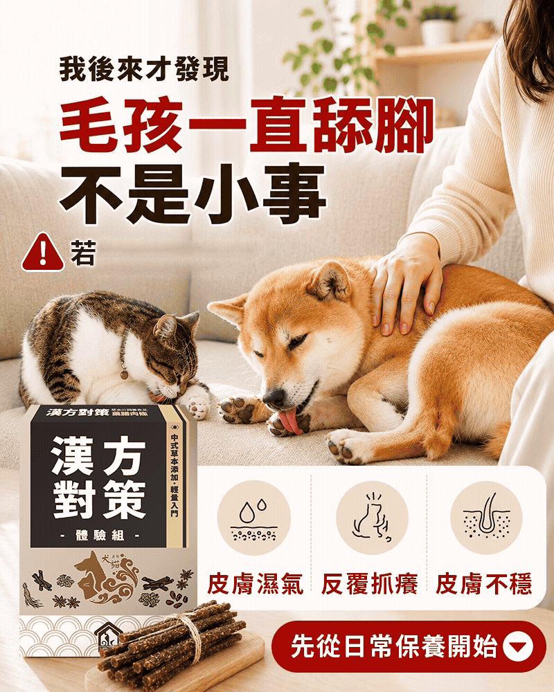 ChatGPT Image 2026年5月12日 下午02_49_21