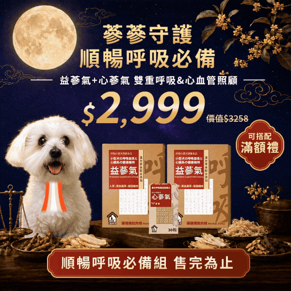gif中秋BN_正方