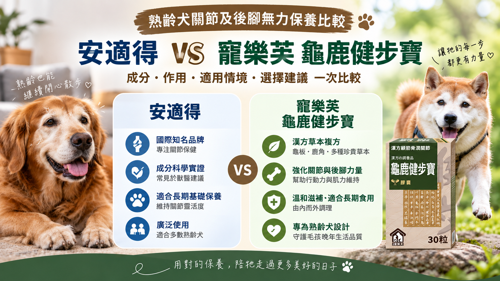 安適得跟龜鹿健步寶怎麼選？熟齡犬關節保健與後腳無力保養差在哪？