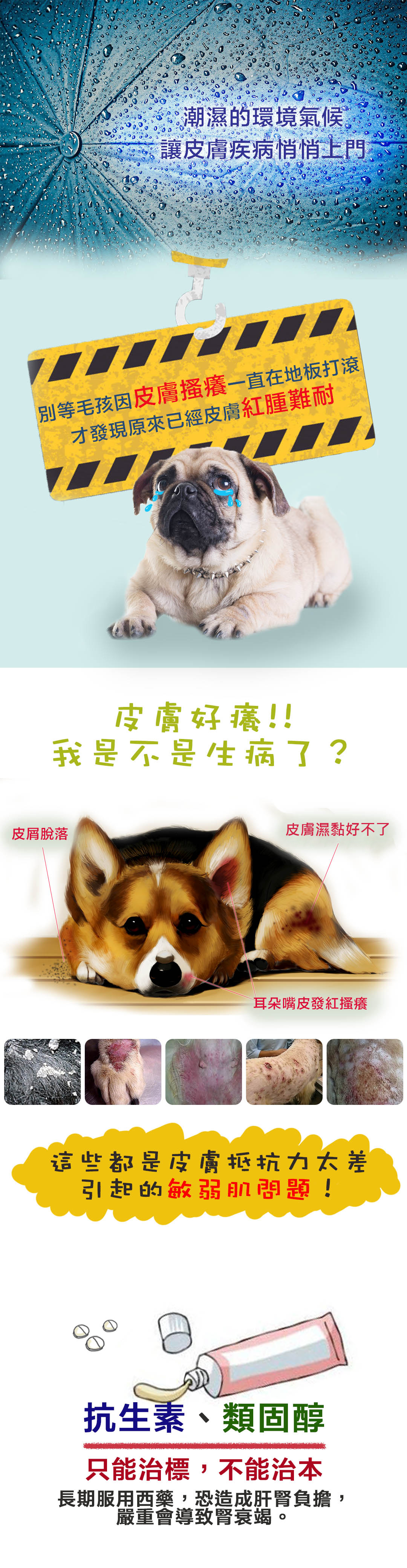 寵樂福-膚立效00.jpg