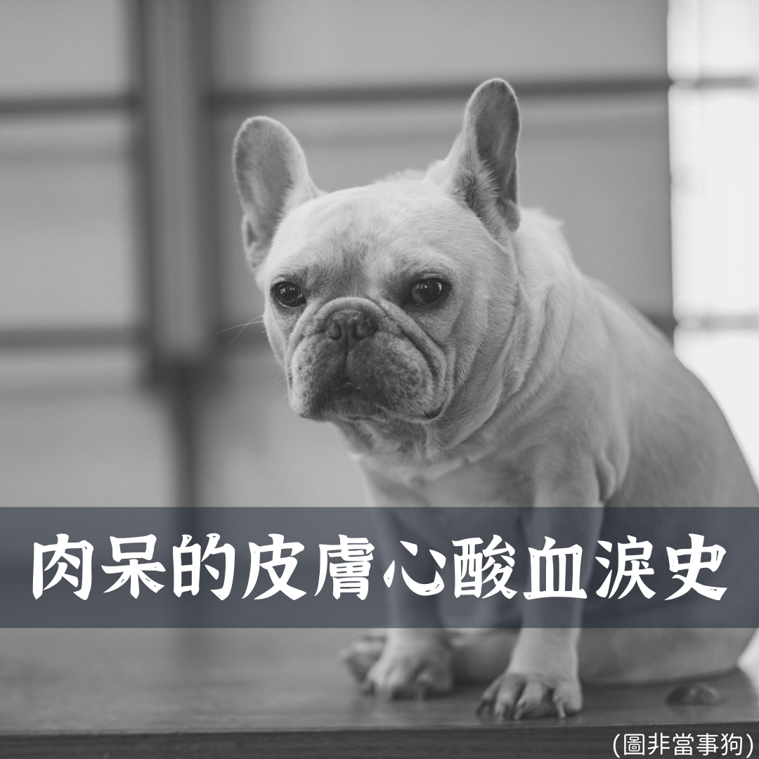 【膚立效好評分享】-鬥牛犬肉呆