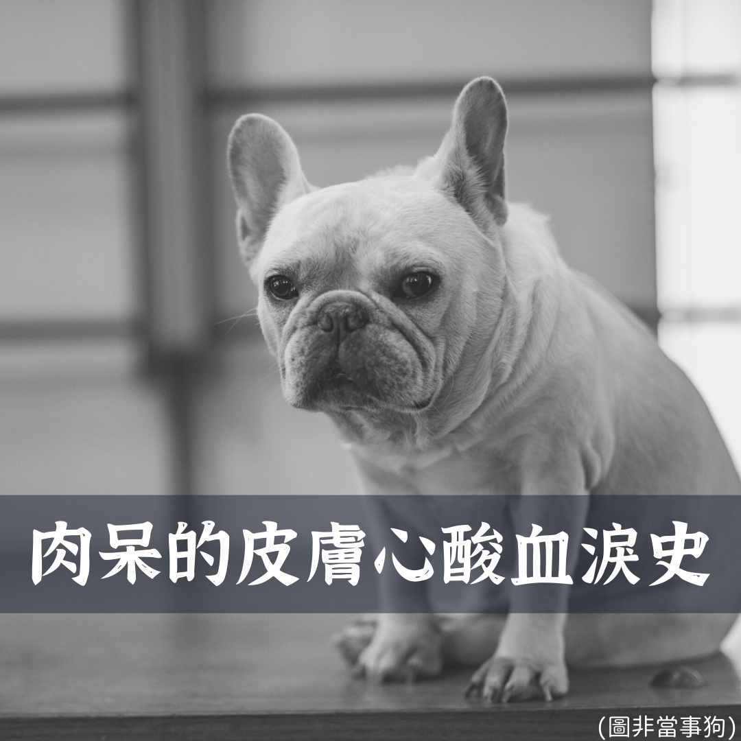 【膚立效好評分享】－鬥牛犬肉呆