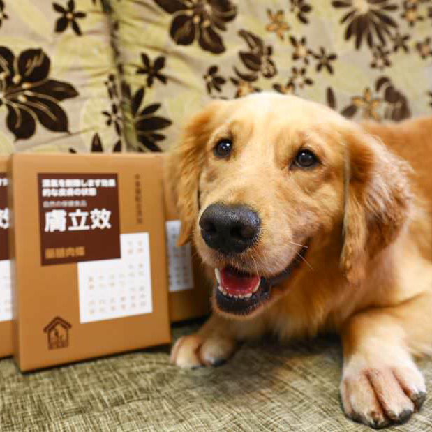 洛基媽 老犬皮毛照護,穩定情緒與膚況實測
