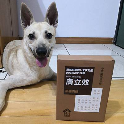 豆妹 濕癢困擾,藥膳肉條輔助膚況改善