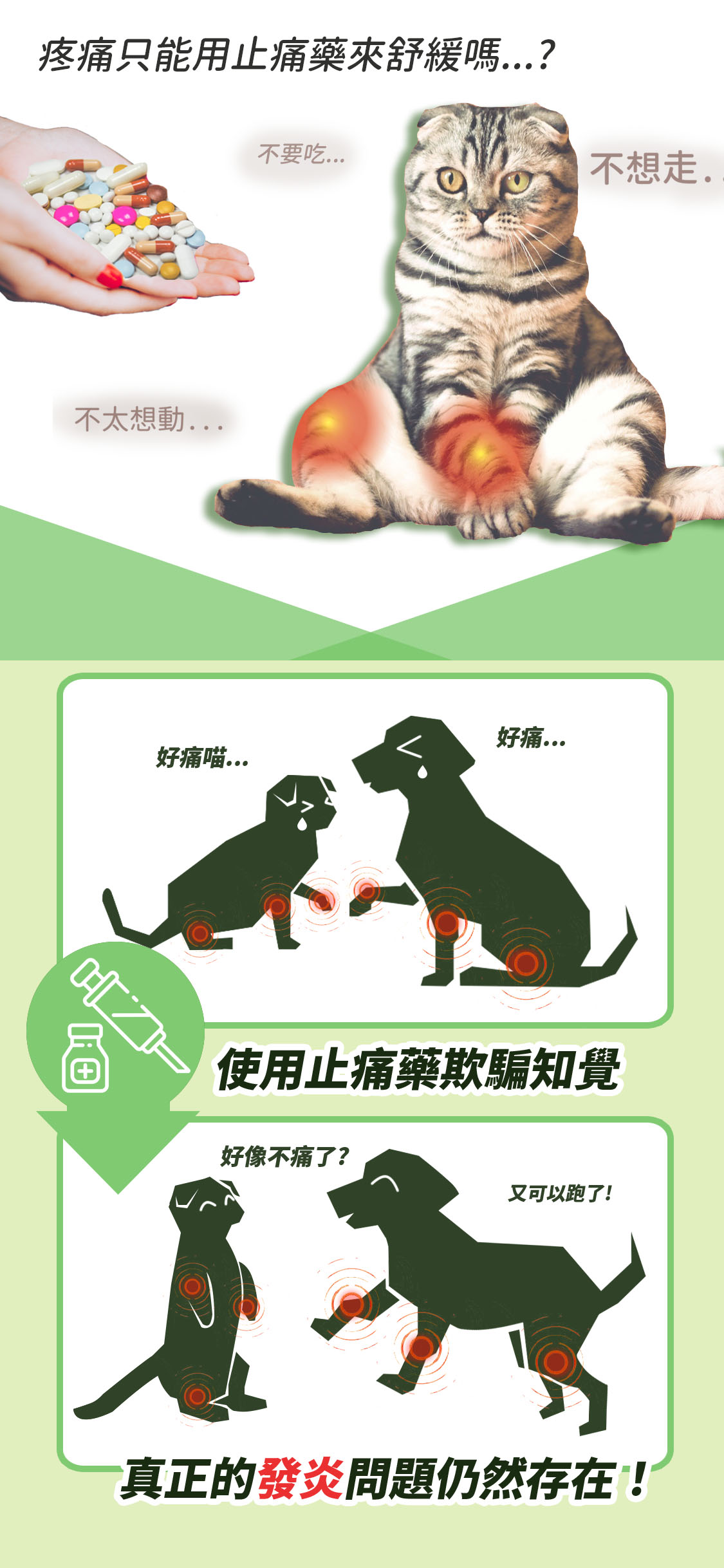 寵物保健品貓狗貓爪藤關節與心臟心血管保養2.png