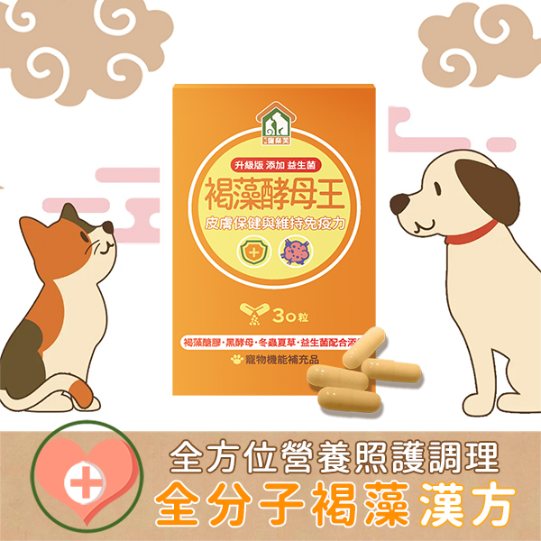 800x800商品首圖-C