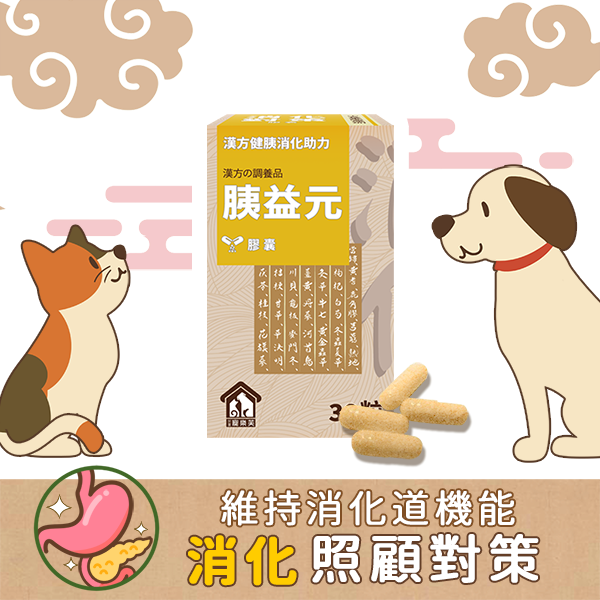 L3首圖