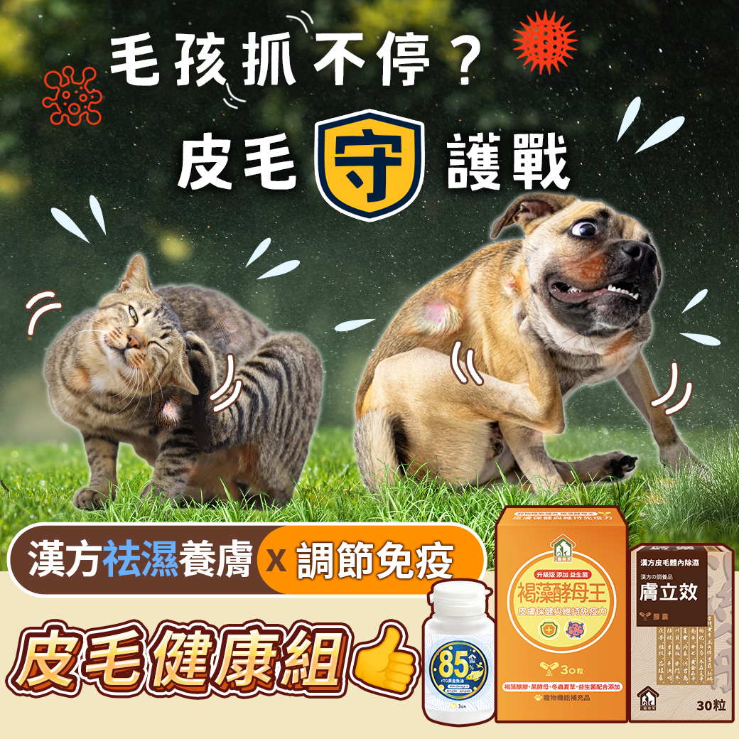 守護套組-