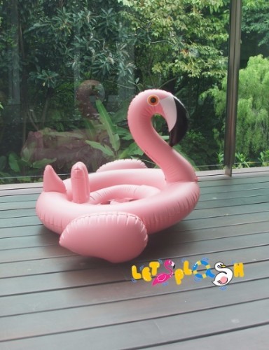 baby flamingo.jpg