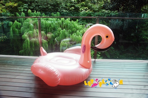 Kid RG Flamingo.jpg