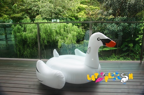 Kid White Swan.jpg